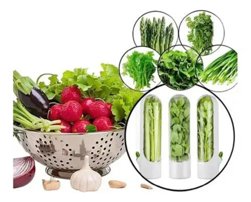 🌿🥒 Contenedor para Vegetales y Hierbas - Imagen 2