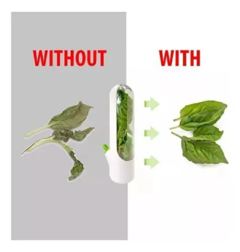 🌿🥒 Contenedor para Vegetales y Hierbas - Imagen 4