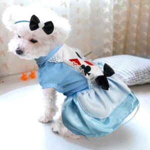 🐶 Disfraz para Mascotas de Alicia DALI01